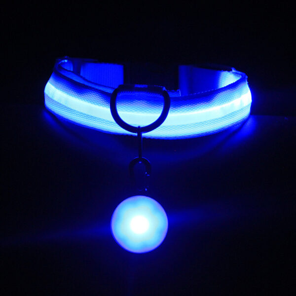 Pet Supplies Dog Collar Luminous Fashion - Image 3