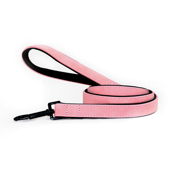 Pet Dog Leash Pull-resistant Leather Products - Image 6