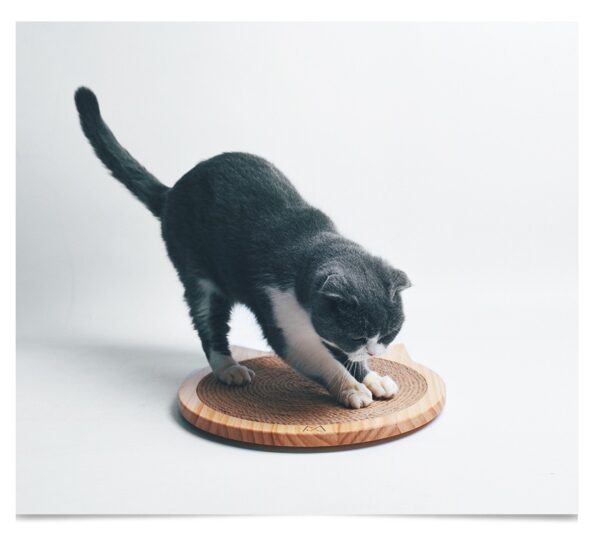 Cat Claws Care Toy Pet Training Kitten Climbing Scratching Pad - Image 6