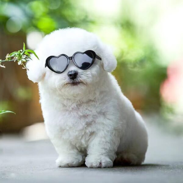 Doll Sunglasses Pet Toy Accessories - Image 2