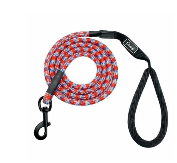 Small, medium and large dogs climbing ropes - Image 6