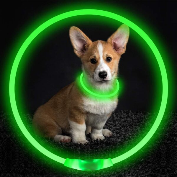 Pet Flashing Collar USB Rechargeable Glowing Necklace Safety Collar Light Up Collars For Night Walking Electric Dog Collar Neon - Image 4