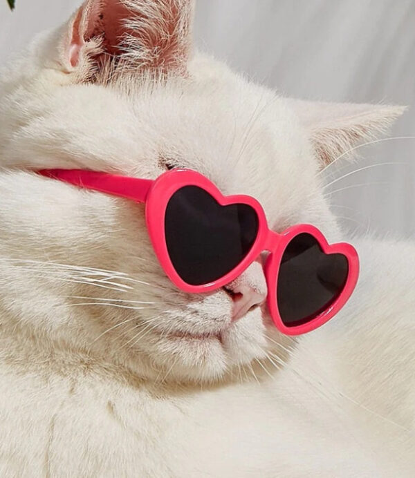 Doll Sunglasses Pet Toy Accessories - Image 5